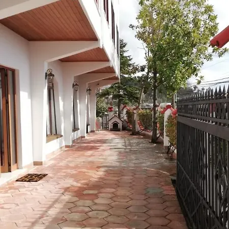 Dani Near Castle And Old Bazar *