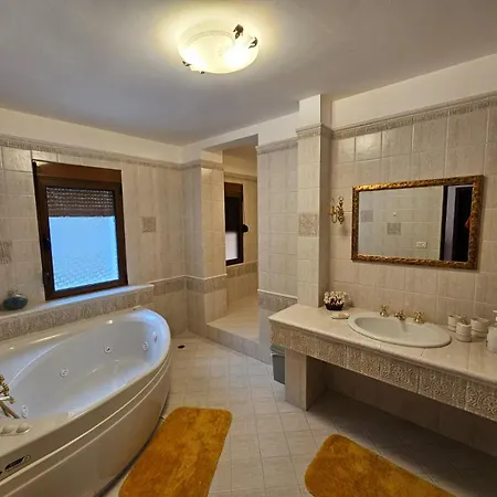 Dani Near Castle And Old Bazar *