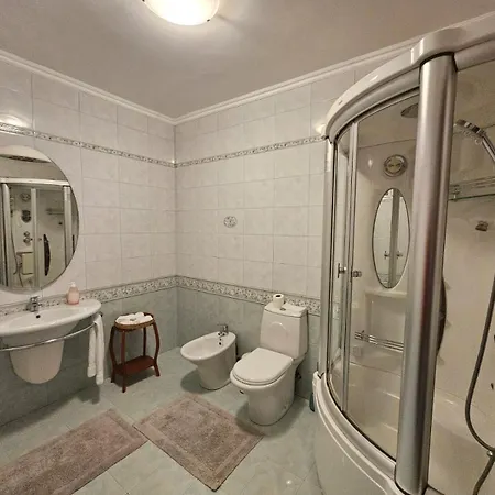 Dani Near Castle And Old Bazar *