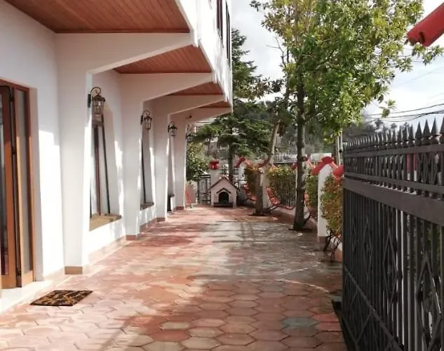 Dani Near Castle And Old Bazar *