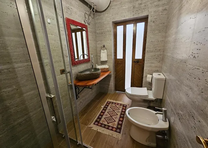 Dani Near Castle And Old Bazar