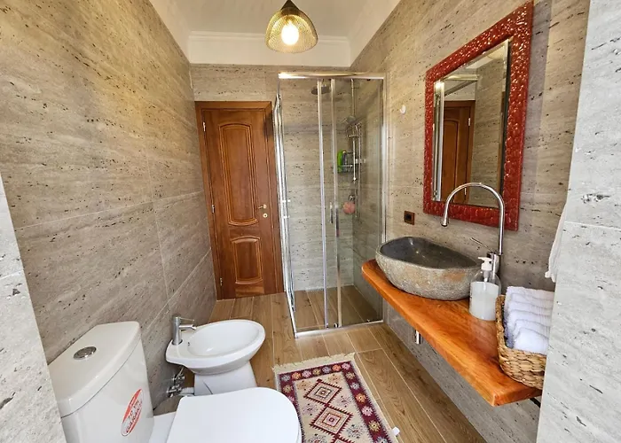 Dani Near Castle And Old Bazar *